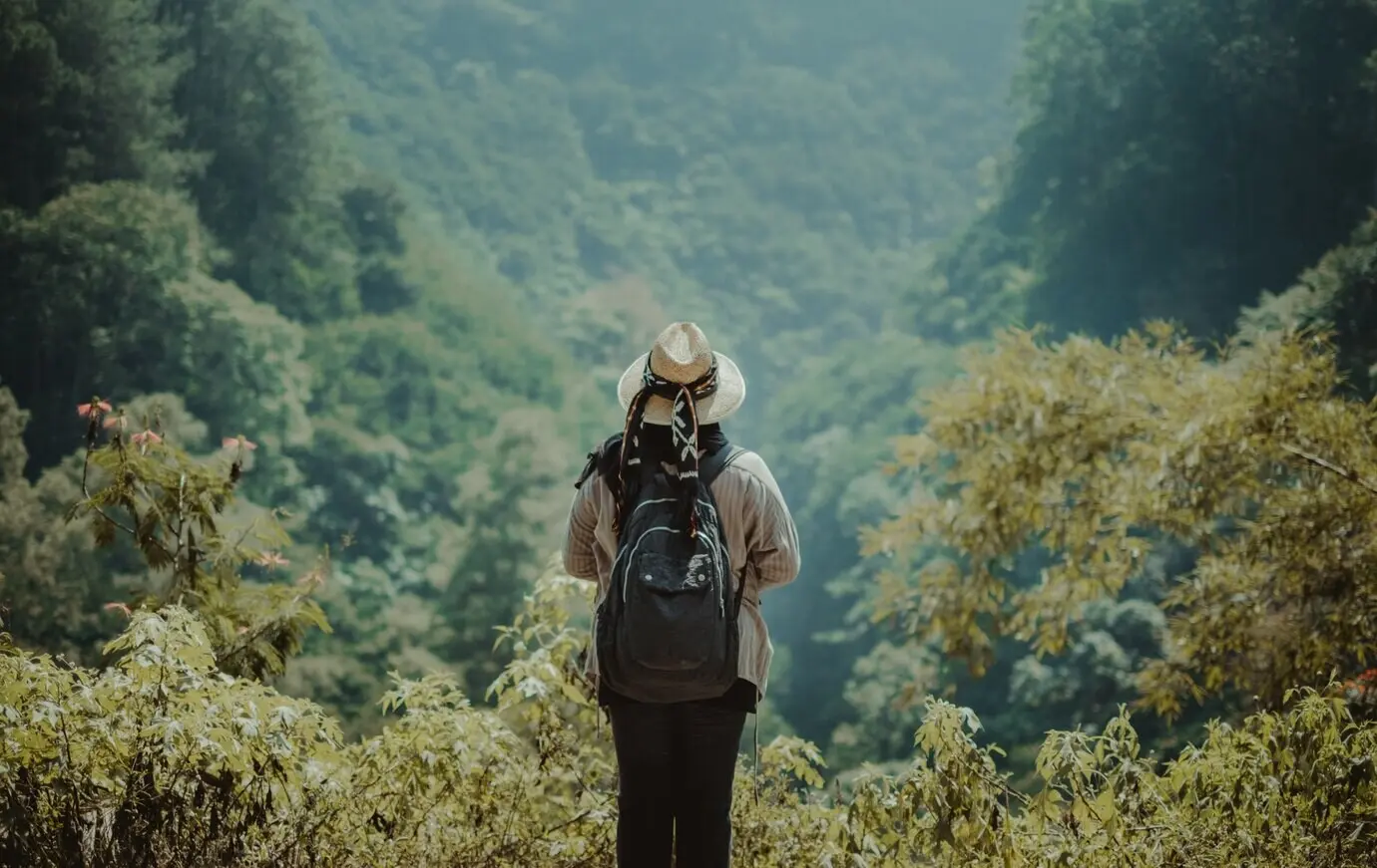 A female stands on a hill overlooking the jungle.